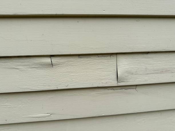 Affordable Siding Repair and Maintenance Services in Griffith, IN